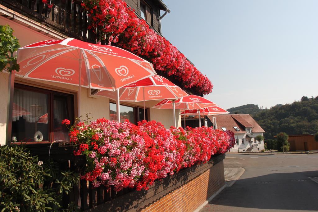 Landgasthof Hotel Sauer Willingen  Exterior photo